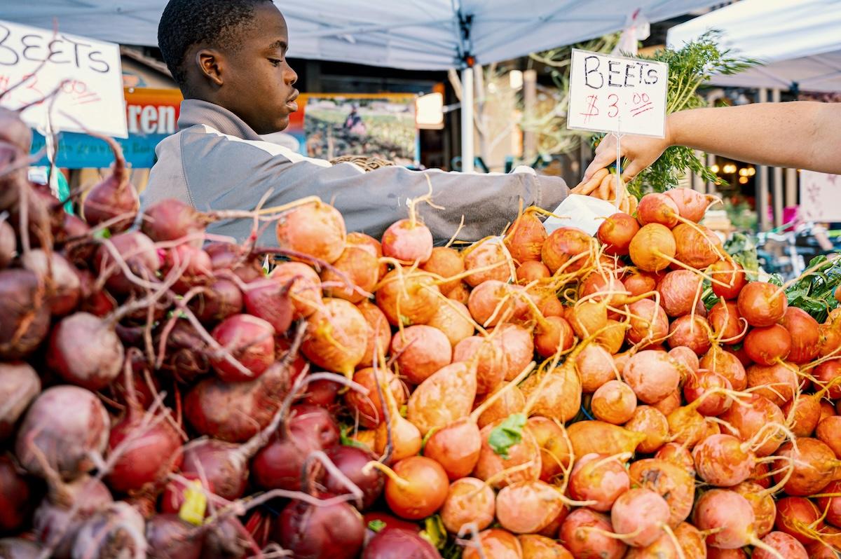From Soil to Storage: How Root Crops Feed Texas Year-Round