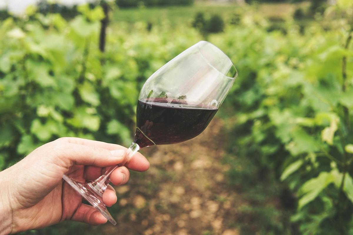 What ‘Terroir’ Means on the Farm — and Why It Matters in Texas Agriculture