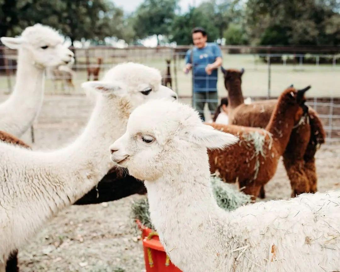 Design a Great Experience: What Makes a Visit Memorable