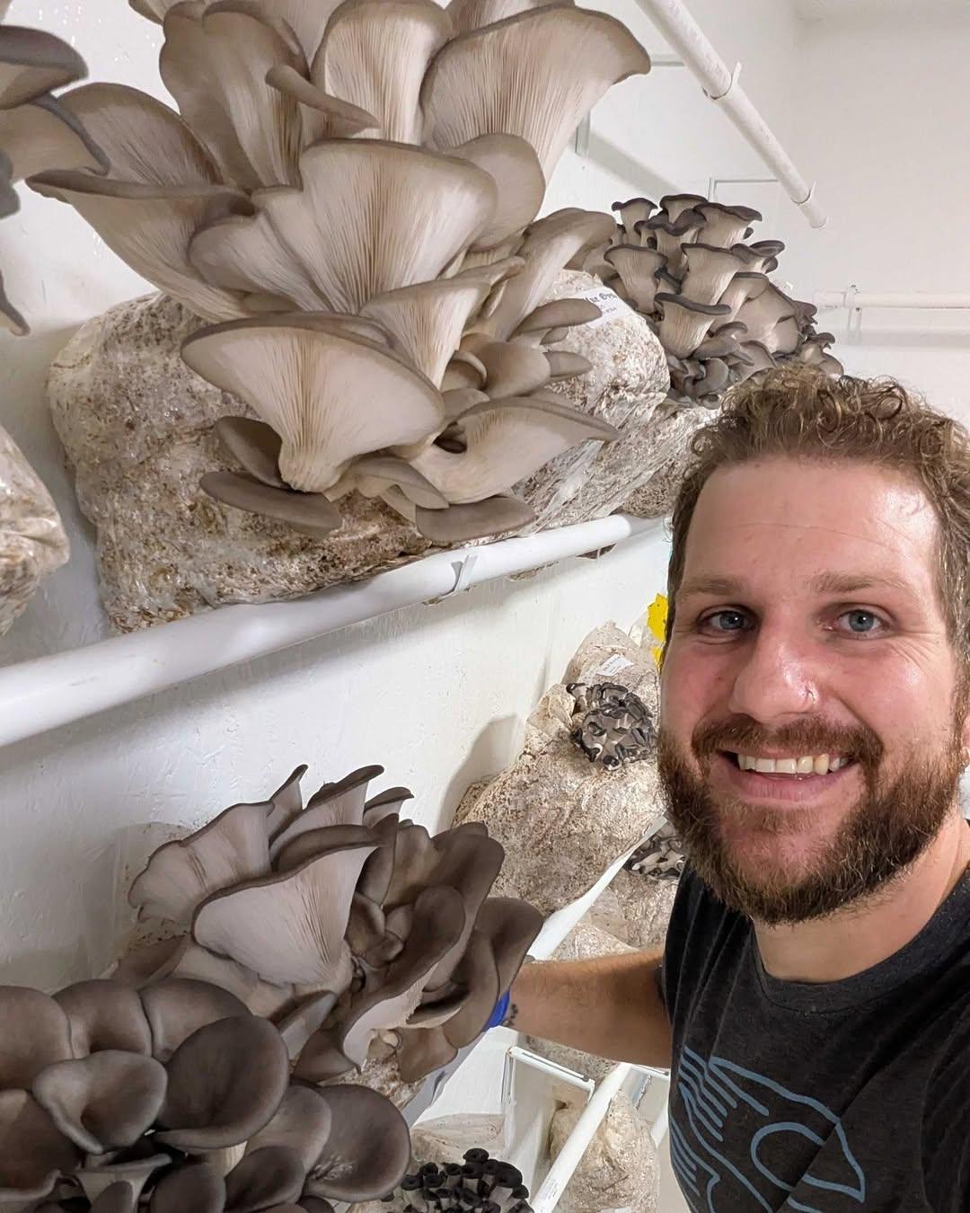 What You’ll Learn in a Mushroom Growing Class (and Why It’s Worth It)