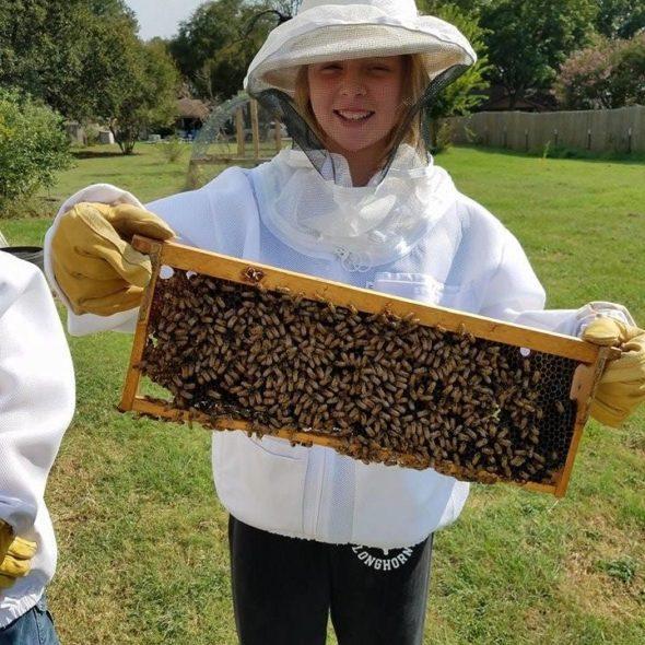 Private Beekeeping Experience for Adults & Teens in Aurora,Texas