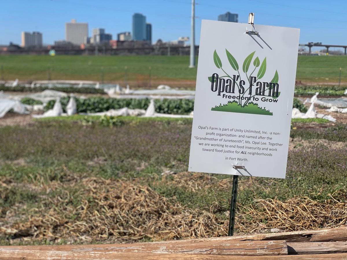 Tour the Farm of the 'Grandmother of Juneteenth' Opal Lee in Fort Worth,Texas