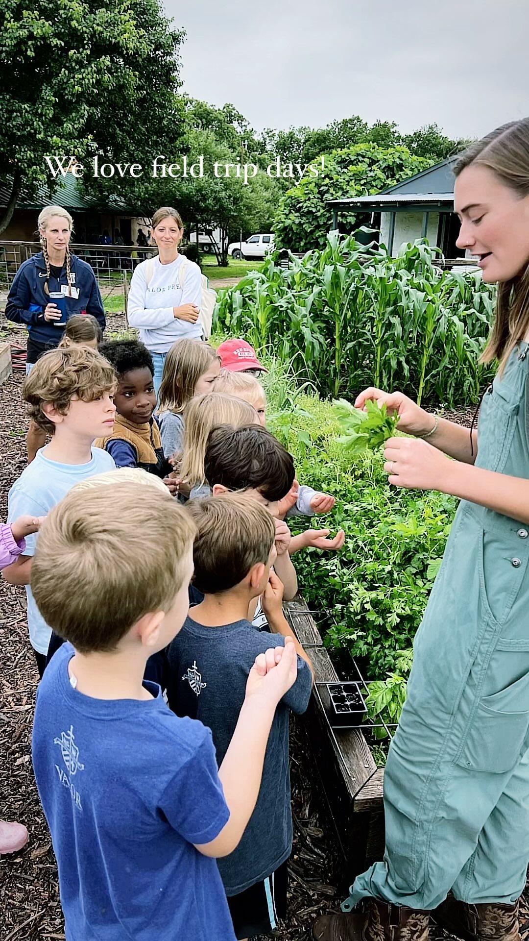 Field Trips at World Hunger Relief Farm in Waco,Texas