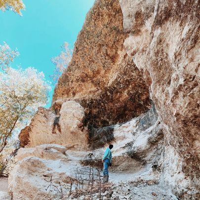 Private Nature Walk: Discover Medicinal Plants near Fossil Rim in Glen Rose,Texas