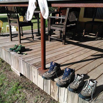 Private Nature Walk: Discover Medicinal Plants near Fossil Rim in Glen Rose,Texas