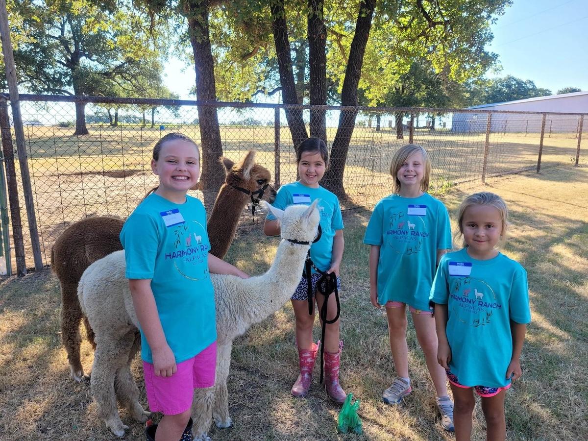Field Trip: Meet the Alpacas at a North Texas Ranch in Alvord,Texas
