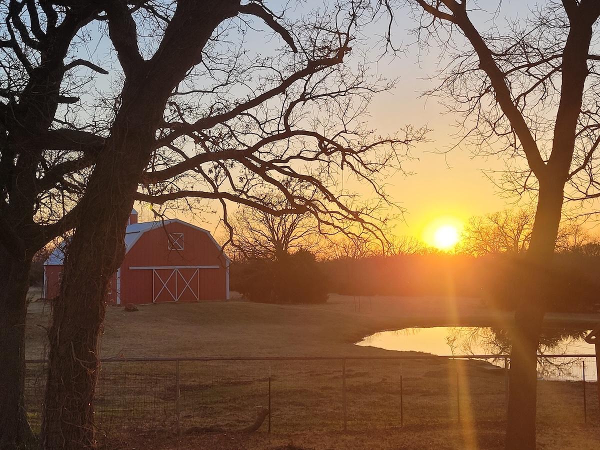 Field Trip: Meet the Alpacas at a North Texas Ranch in Alvord,Texas
