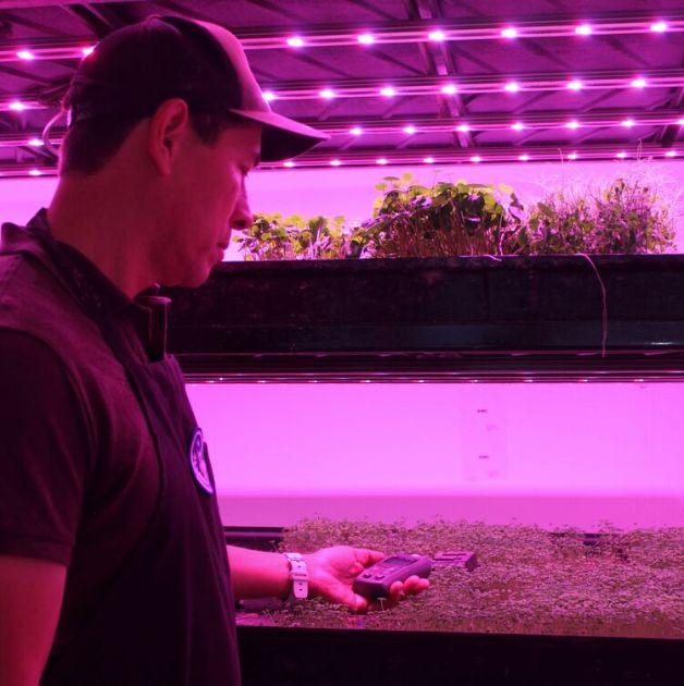 Houston Hydroponic Farm Tour: Space-Age Tech Meets Real-World Farming in Houston,Texas