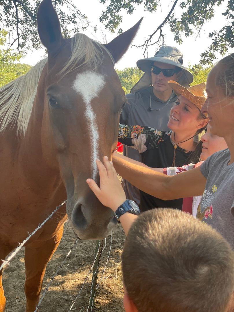 Private Group: Kids Day on the Farm in Bowie,Texas