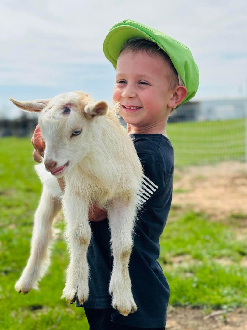 Private Group: Kids Day on the Farm in Bowie,Texas