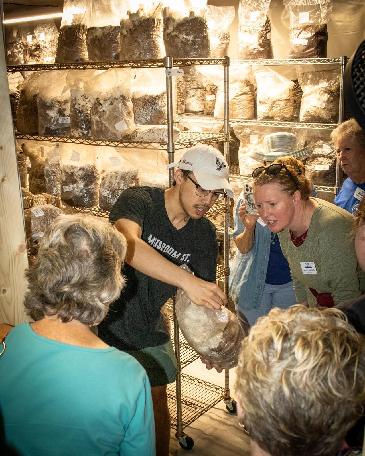 Private Indoor Mushroom Tour in Arlington (Ages 8+) in Arlington,Texas