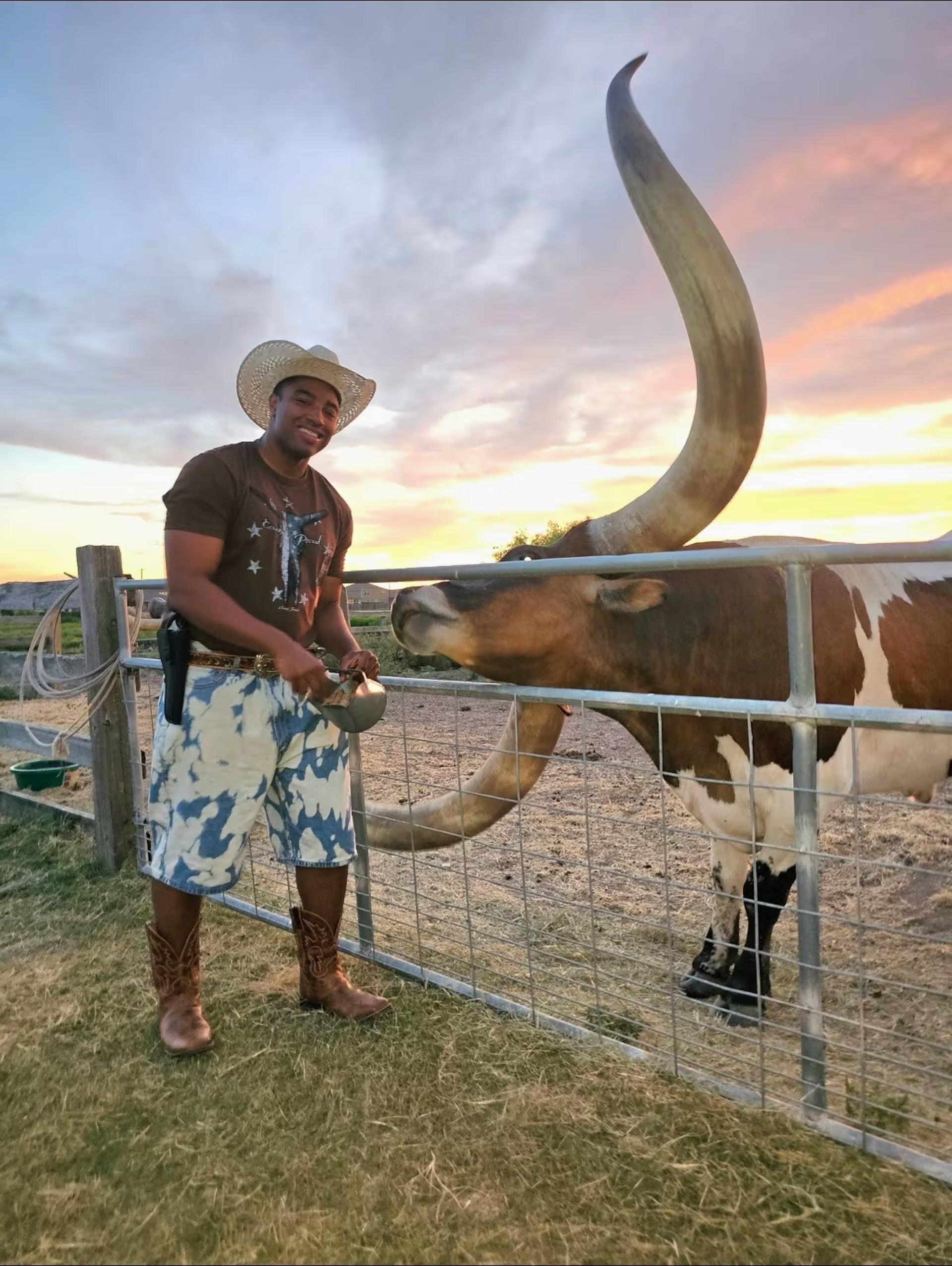 Feed and Photograph Texas Longhorns Near Austin in Pflugerville,Texas