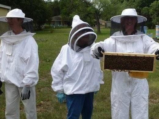 Private Beekeeping Experience for Adults & Teens in Aurora,Texas