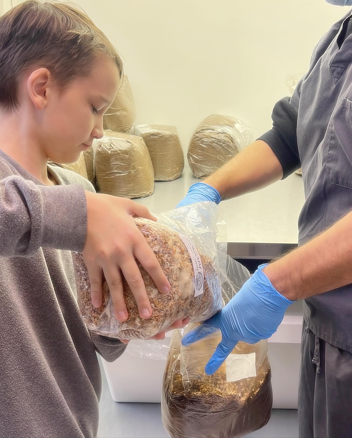 What Kids Learn on a Mushroom Farm Tour