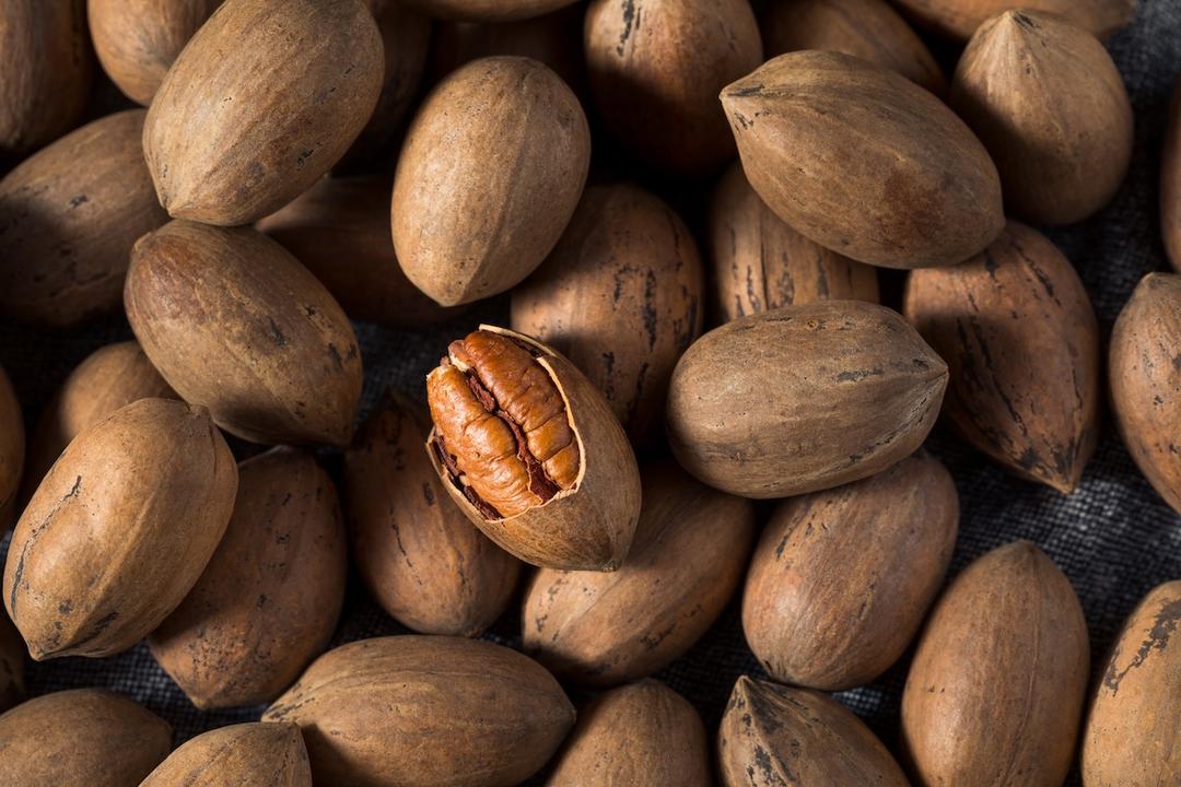 How to Harvest, Dry & Store Pecans in Texas