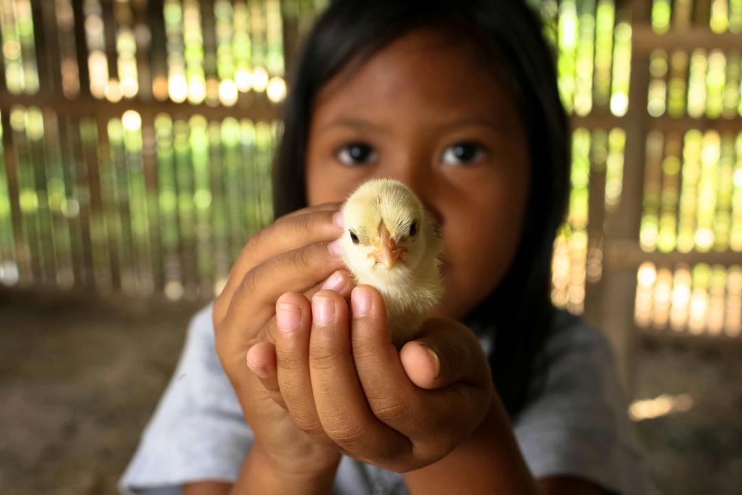 Why Hosting Visitors Is a Public Service to Agriculture