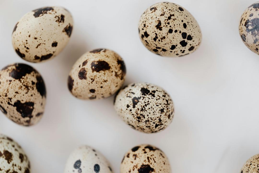 DIY Pet Treats Using Farm-Fresh Quail Eggs