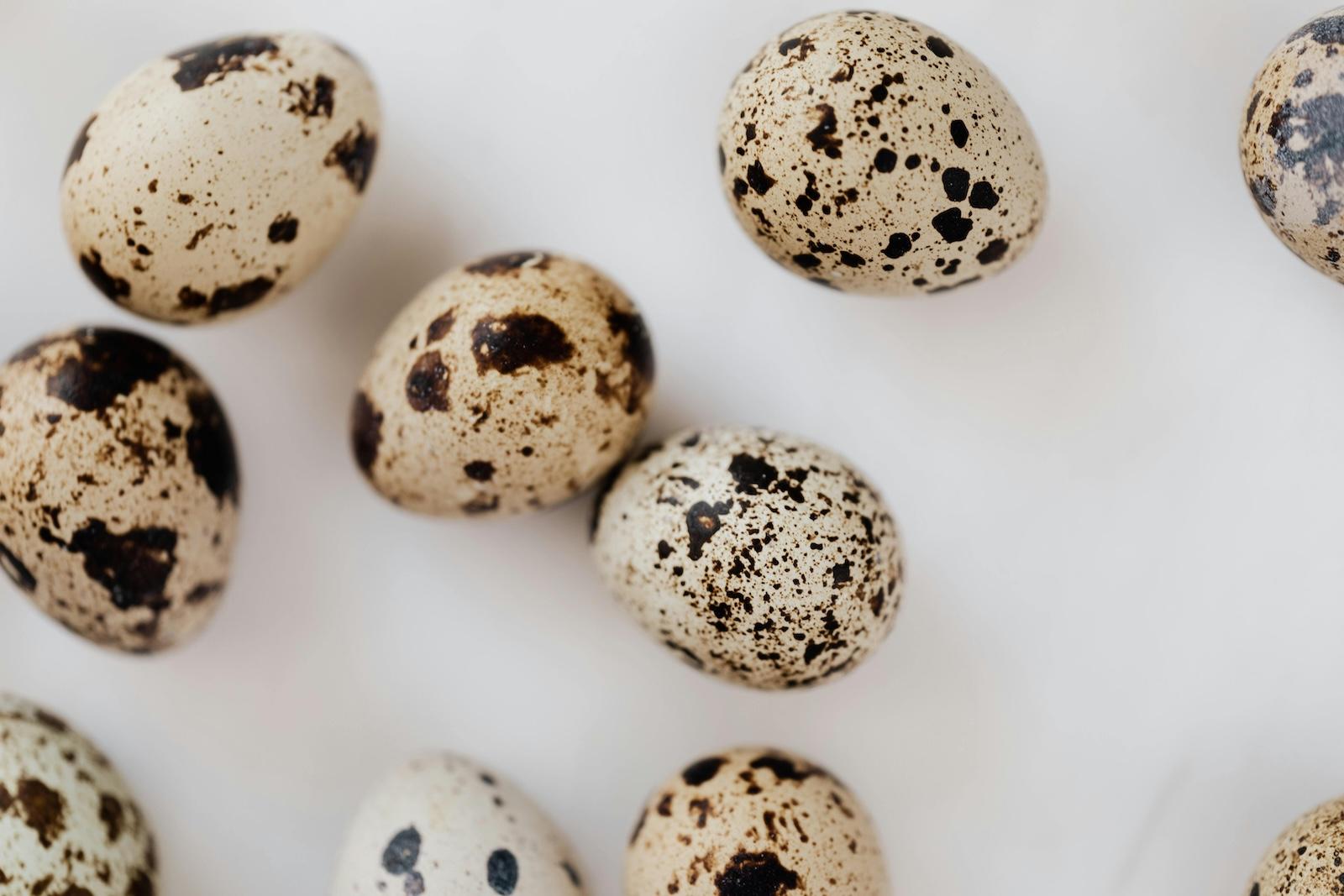 DIY Pet Treats Using Farm-Fresh Quail Eggs