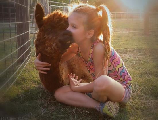 Private Tour: Meet Alpacas & Explore Fiber Farming in North Texas in Maypearl,Texas