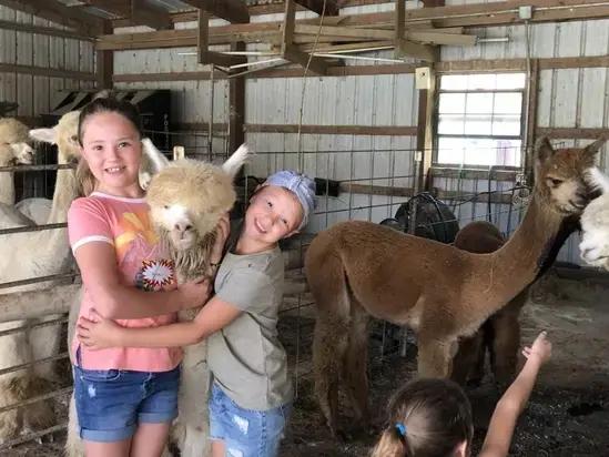 Private Tour: Meet Alpacas & Explore Fiber Farming in North Texas in Maypearl,Texas