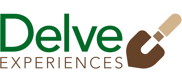 Delve Experiences logo